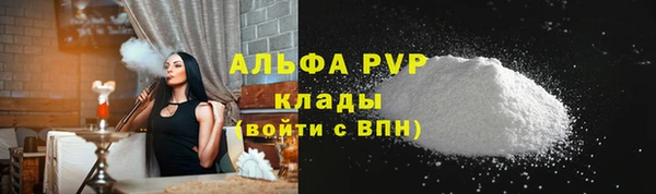 ешки Белокуриха