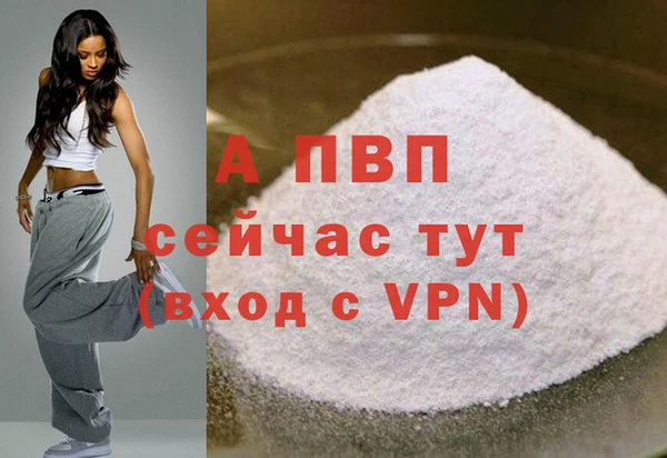 ешки Белокуриха