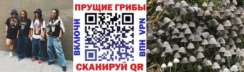 Псилоцибиновые грибы MAGIC MUSHROOMS  Видное 
