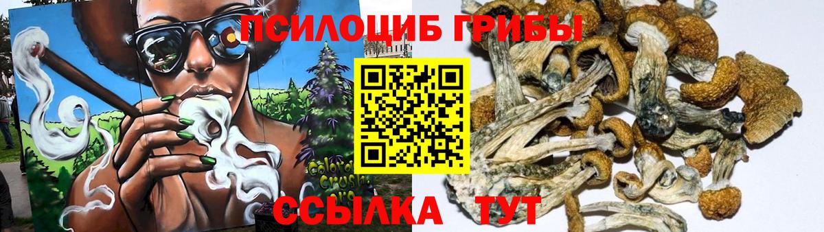 Видное  Псилоцибиновые грибы Psilocybine cubensis  как найти закладки  Вход с VPN 